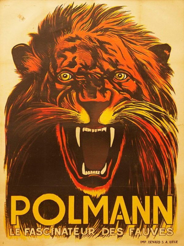 Polmann Lion