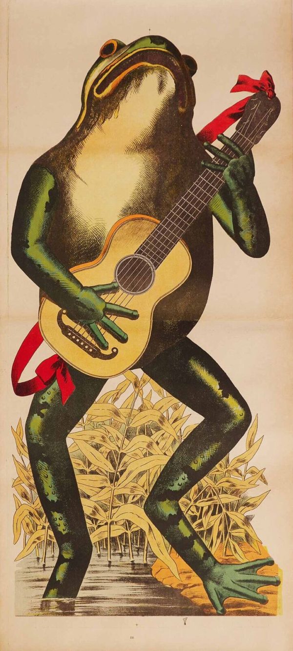 Frog Guitarist